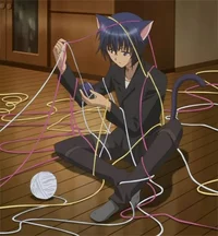 Ikuto Tsukiyomi 