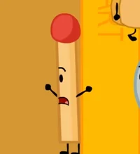 Early BFDI Match