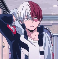 Shoto Todoroki