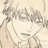 CSM Denji