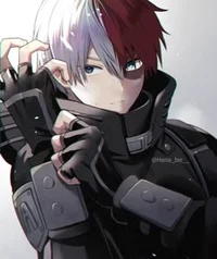 Todoroki shoto 