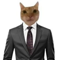 Cat CEO
