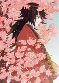 Tomioka Giyu Husband