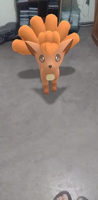 Margot The Vulpix