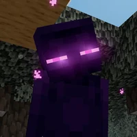 Enderman