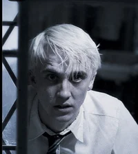 Draco M