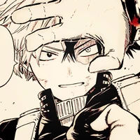 MHA Shoto Todoroki
