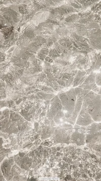 00 - FIND MY ACCOUNT