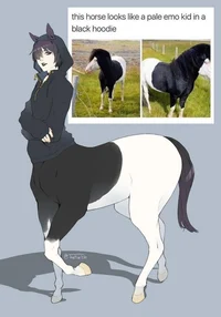 Emo centaur girl