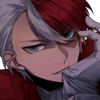 Shoto Todoroki