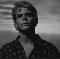 027-PONYBOY CURTIS
