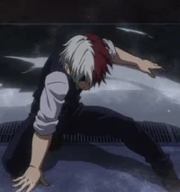 Shoto Todoroki