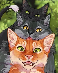 WARRIOR CATS