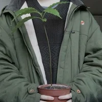 neville l