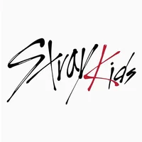 StrayKids insp group