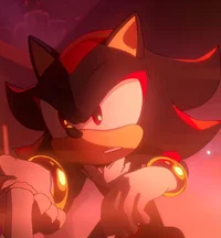 Shadow The Hedgehog