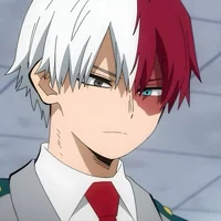Shoto Todoroki 