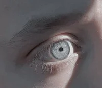 03 Octavian 