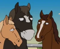 Sud and Chee and Adm