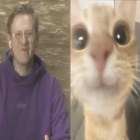 Даня Кашин Кот
