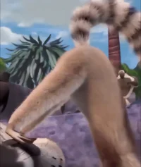 Lemur butt 