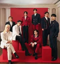 stray kids 