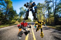 Rumble In The Forest