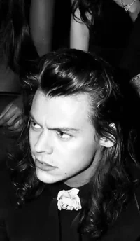 harry styles - mafia