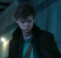 Newt