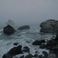 Scylla