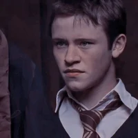 HP - Seamus Finnigan