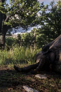 Arthur Morgan