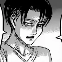 AOT - Levi Ackerman 