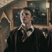 HP - Seamus Finnigan