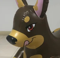 Inflatable Kara