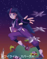 Ninja Twilight