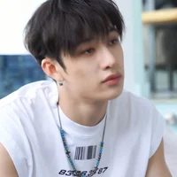 Bang Chan 