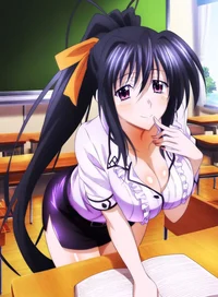 Akeno Himejima Fan