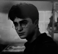 HARRY JAM POTTER