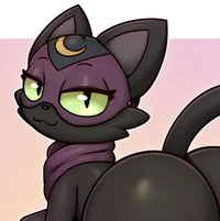 kitty moonshine