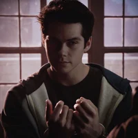 Voild Stiles Stilink