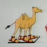Sally the Camel