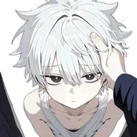 Twin brother Killua
