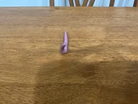 Story colorworm