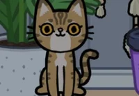 Lung Kem grandpa ore