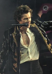 Harry Styles 