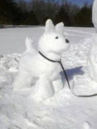 Snow pup 8