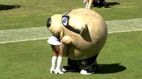 Mascot Cheerleader
