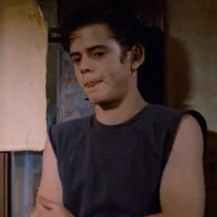 Ponyboy Curtis 