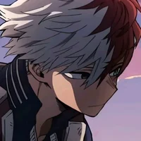 Shoto todoroki